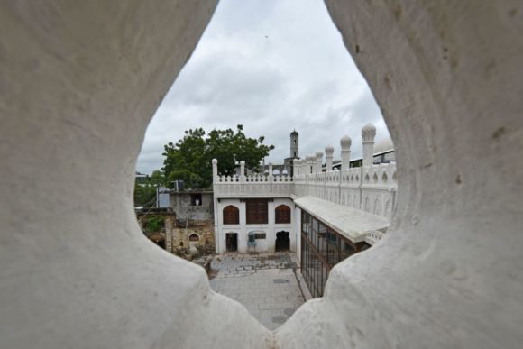 Conservation Projects