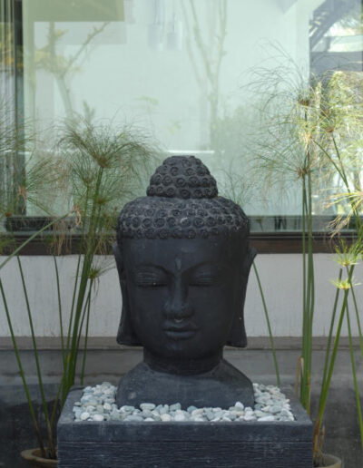 Shangrila Interiors 8